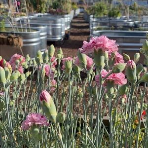 Meet your Posher, Ruby